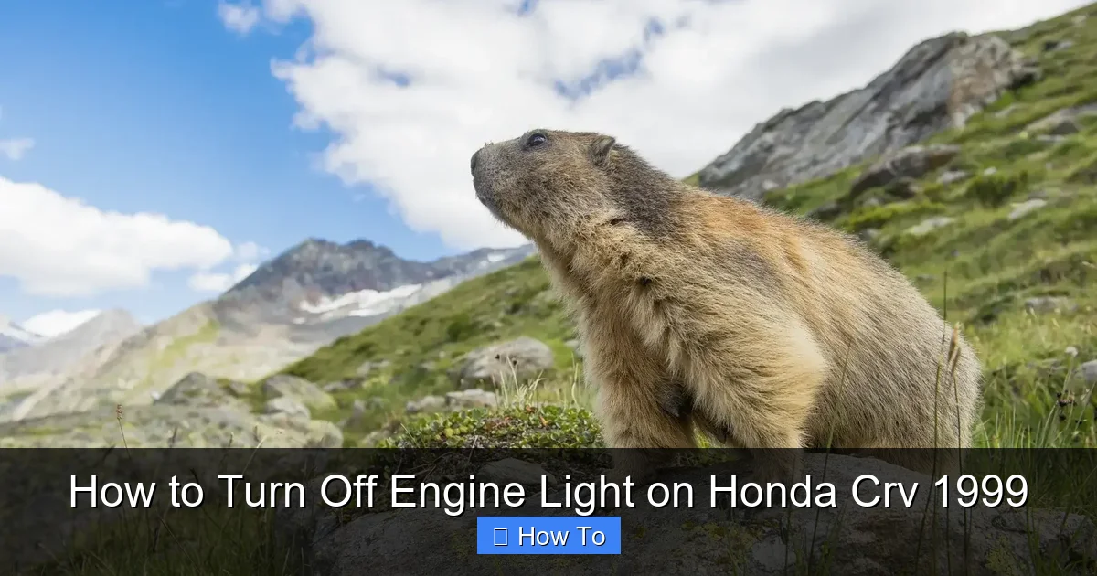 How to Turn Off Engine Light on Honda Crv 1999