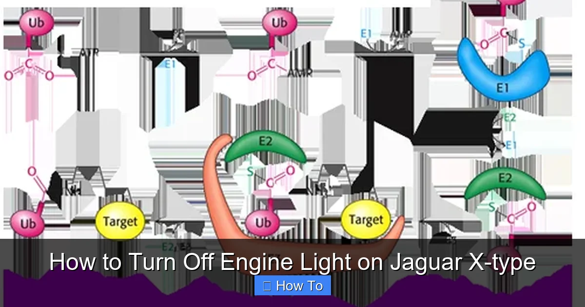 How to Turn Off Engine Light on Jaguar X-type