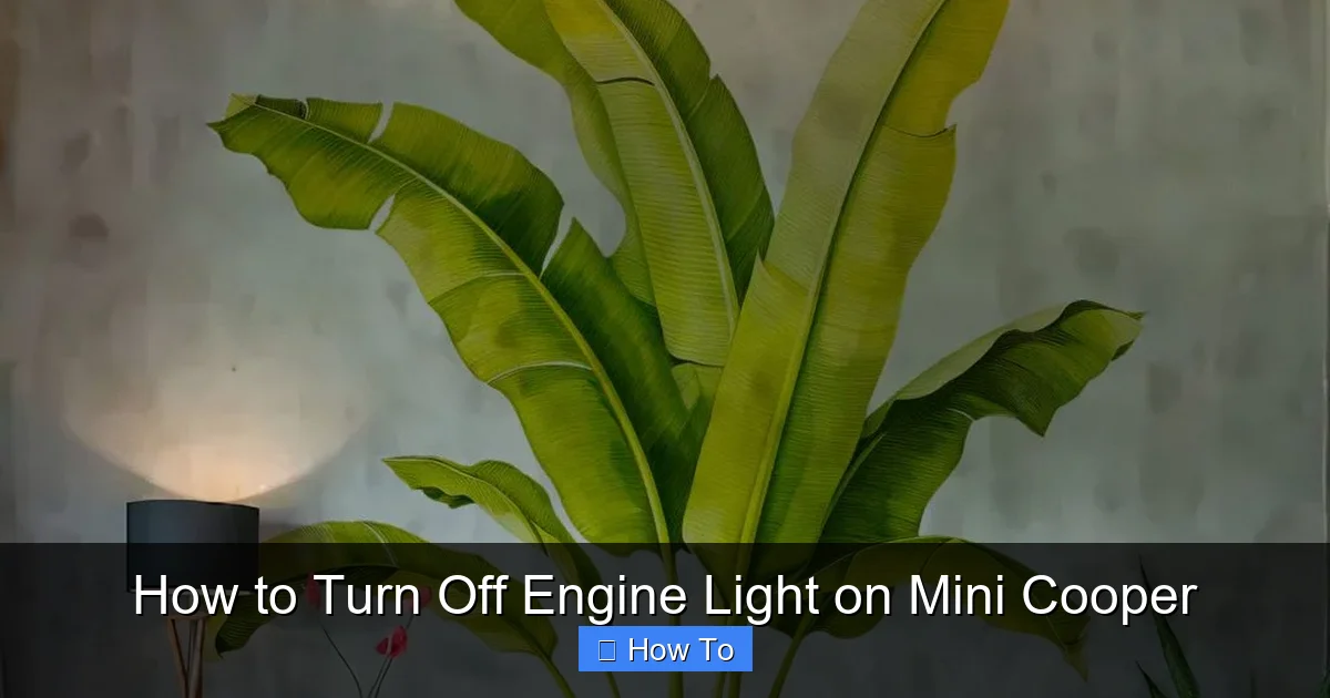 How to Turn Off Engine Light on Mini Cooper