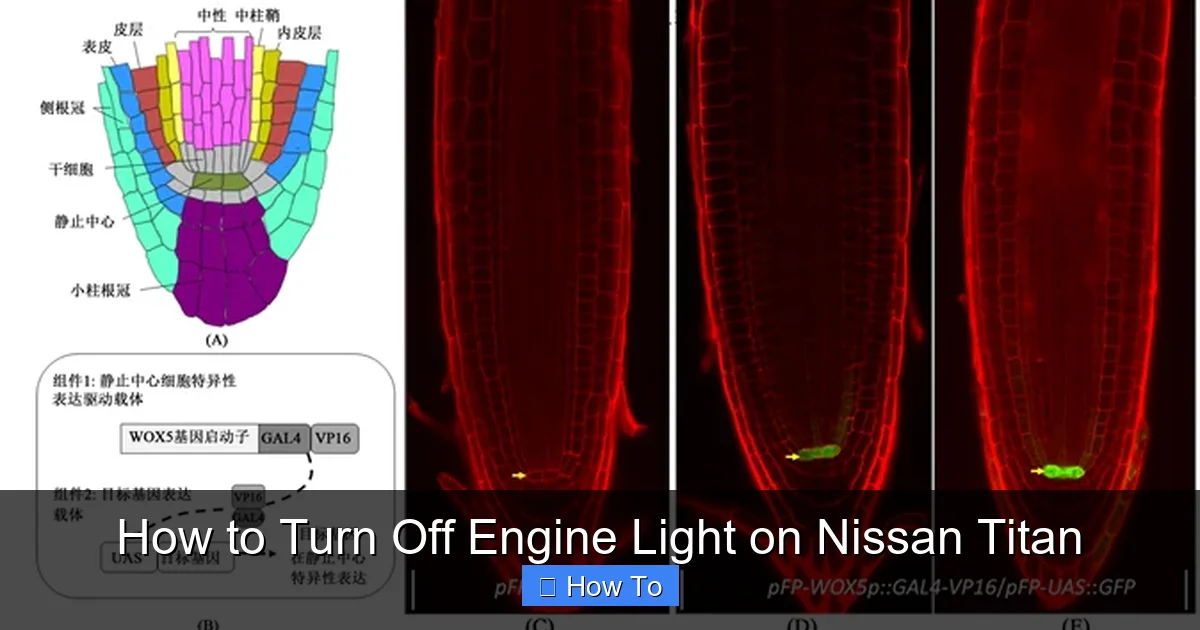 How to Turn Off Engine Light on Nissan Titan