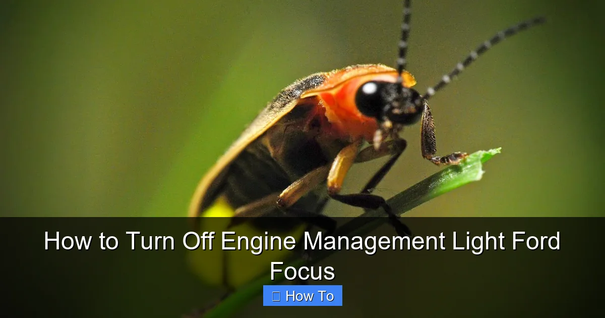 How to Turn Off Engine Management Light Ford Focus
