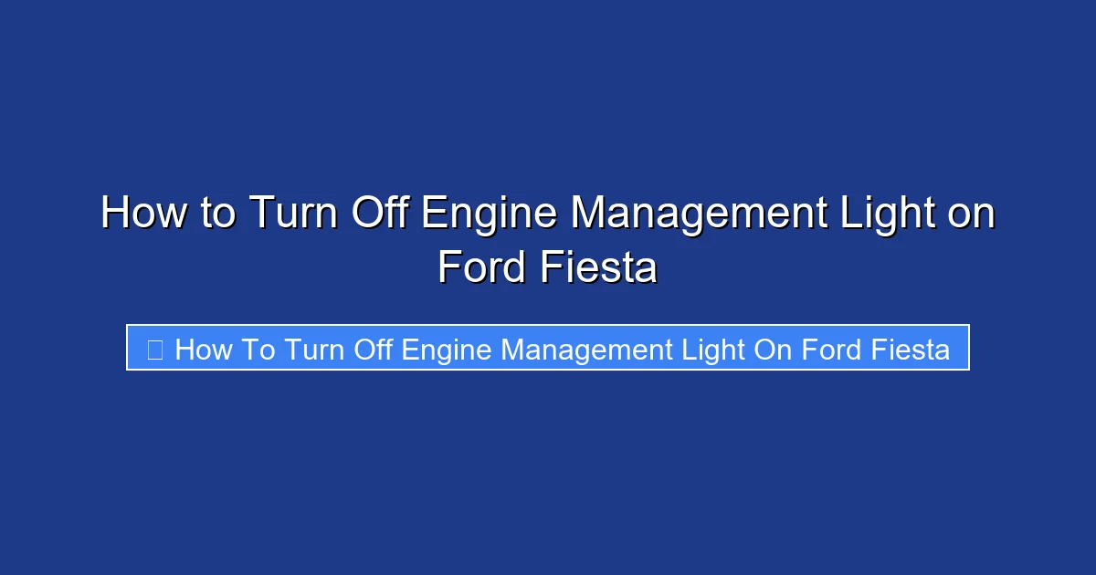 How to Turn Off Engine Management Light on Ford Fiesta
