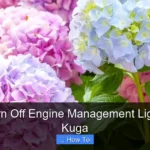 How to Turn Off Engine Management Light on Ford Kuga