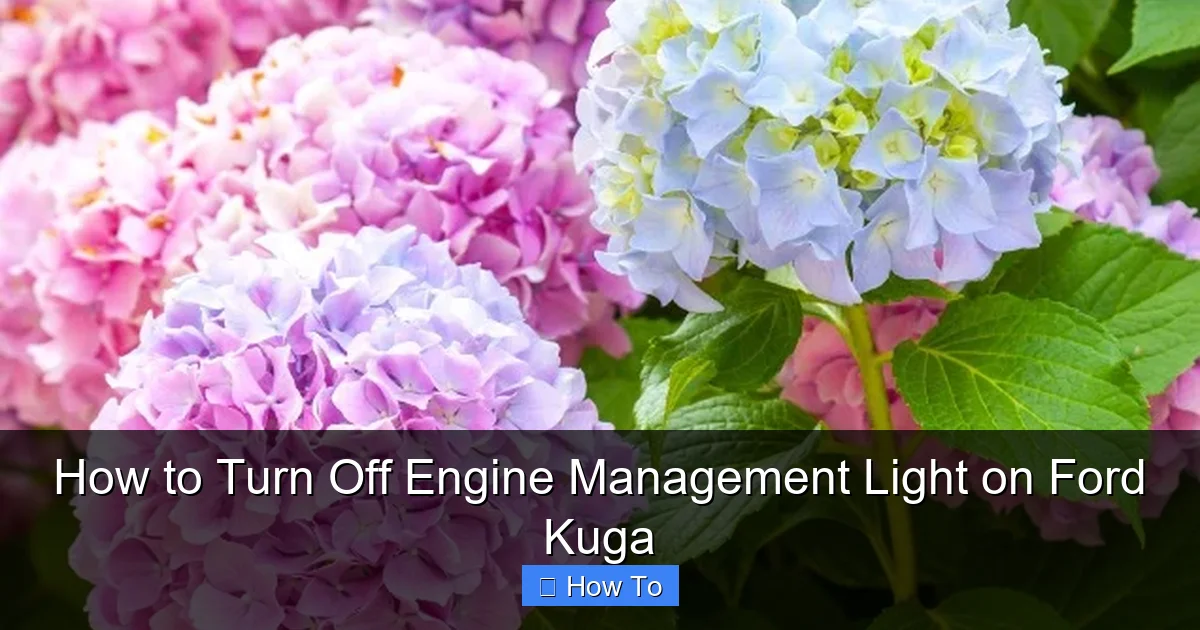 How to Turn Off Engine Management Light on Ford Kuga