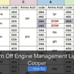 How to Turn Off Engine Management Light on Mini Cooper