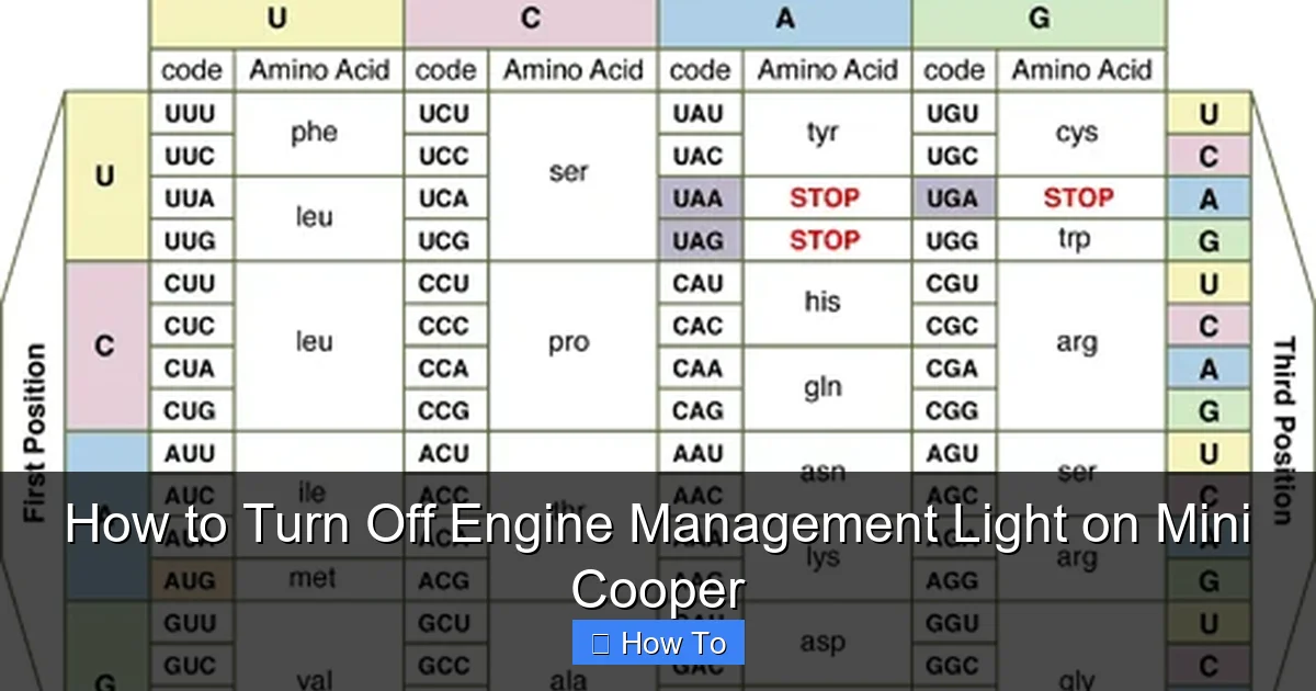 How to Turn Off Engine Management Light on Mini Cooper