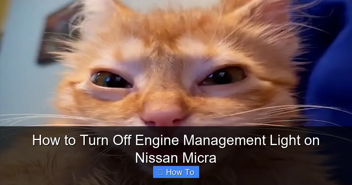 How to Turn Off Engine Management Light on Nissan Micra