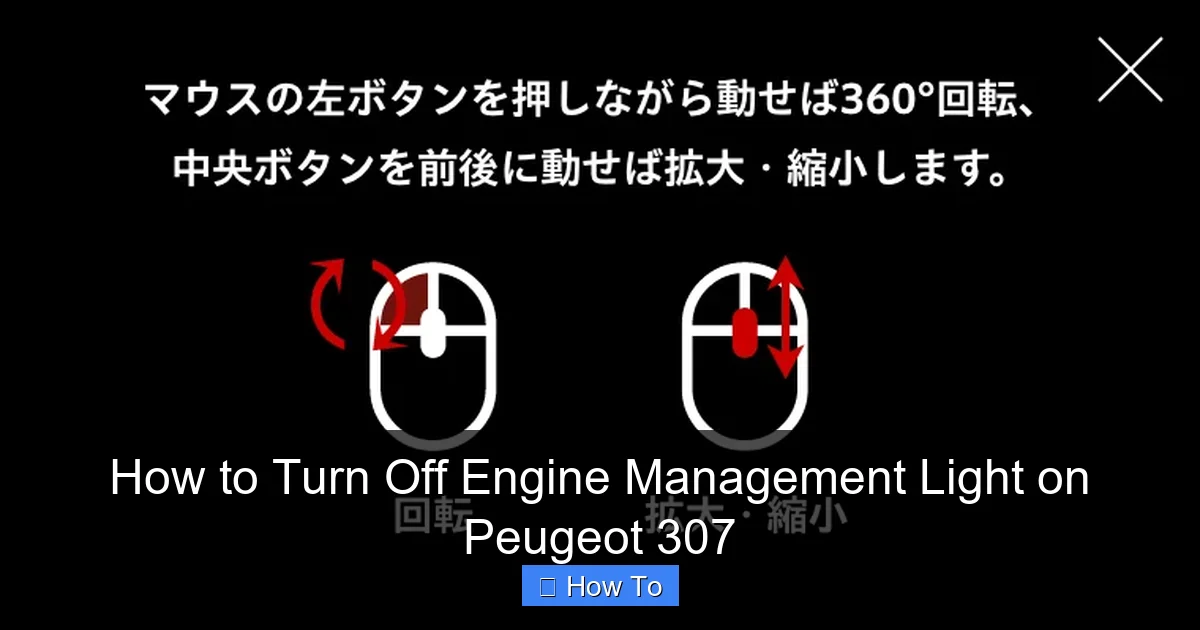 How to Turn Off Engine Management Light on Peugeot 307