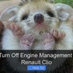 How to Turn Off Engine Management Light on Renault Clio