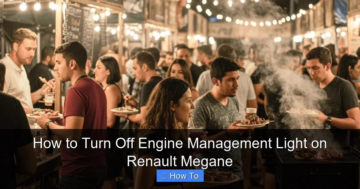 How to Turn Off Engine Management Light on Renault Megane