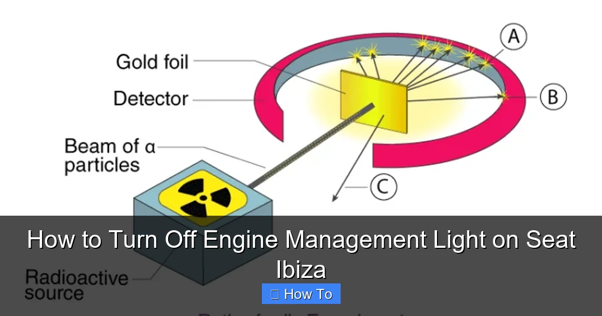 How to Turn Off Engine Management Light on Seat Ibiza