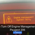 How to Turn Off Engine Management Light Peugeot 206