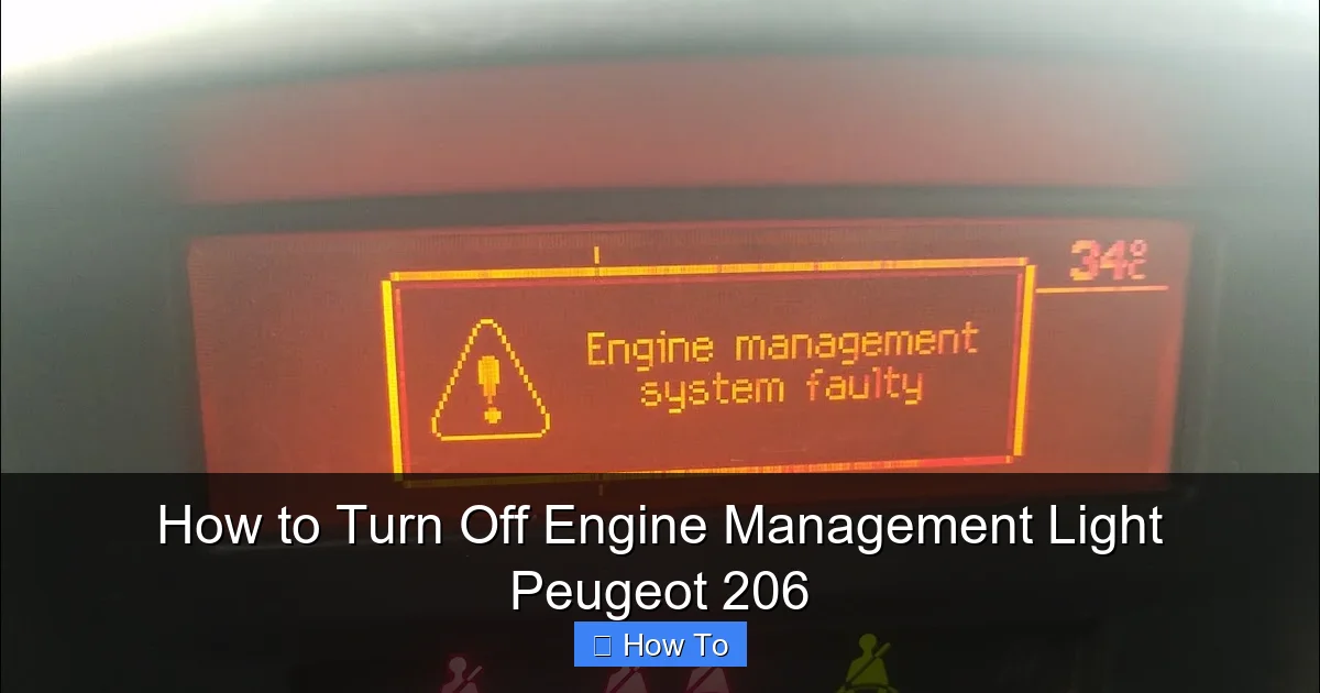 How to Turn Off Engine Management Light Peugeot 206