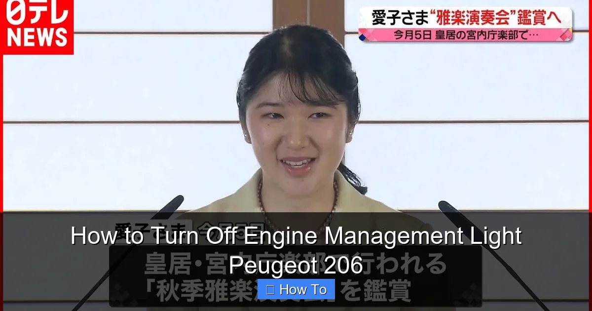 How to Turn Off Engine Management Light Peugeot 206