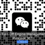 How to Turn Off Engine Management Light Peugeot 307