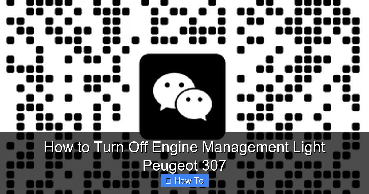How to Turn Off Engine Management Light Peugeot 307