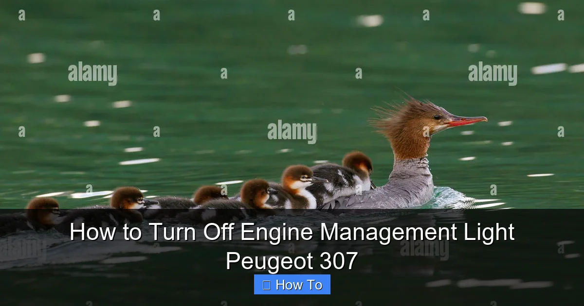How to Turn Off Engine Management Light Peugeot 307