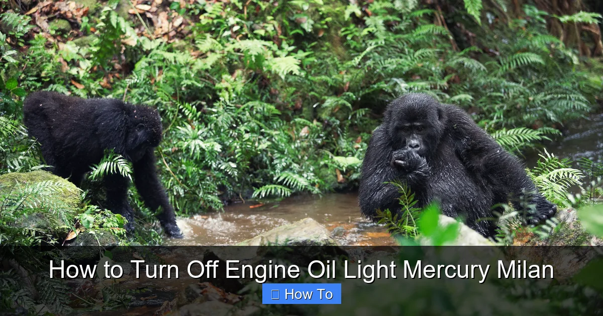 How to Turn Off Engine Oil Light Mercury Milan