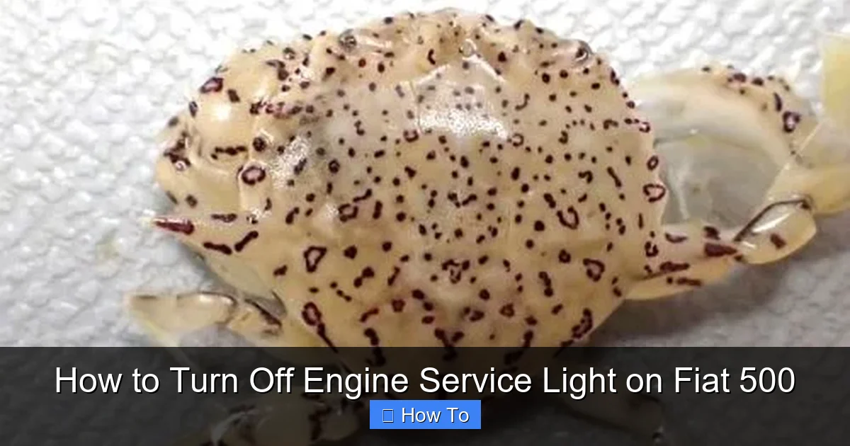 How to Turn Off Engine Service Light on Fiat 500