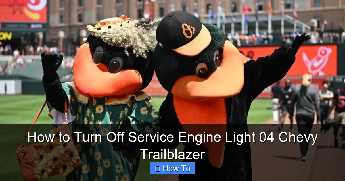 How to Turn Off Service Engine Light 04 Chevy Trailblazer