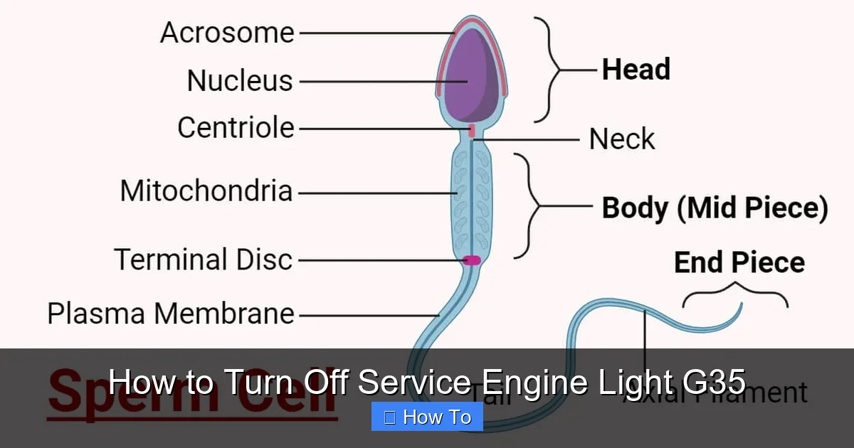 How to Turn Off Service Engine Light G35