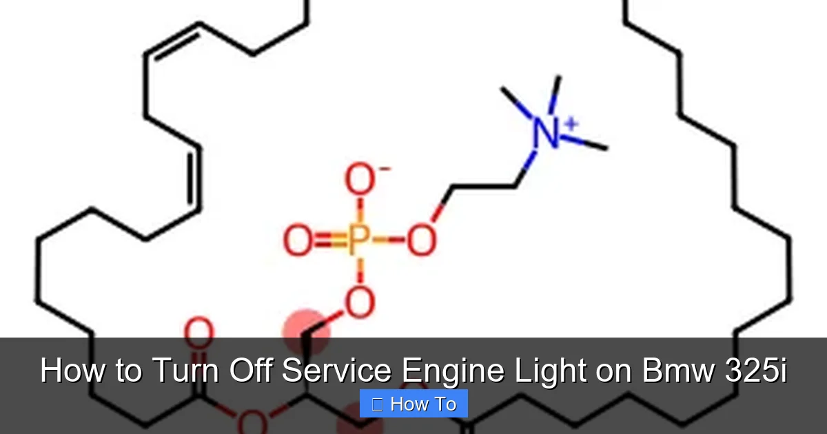 How to Turn Off Service Engine Light on Bmw 325i