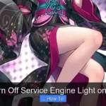 How to Turn Off Service Engine Light on Bmw 530i