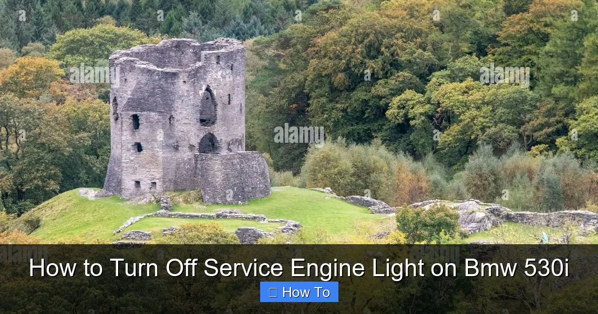 How to Turn Off Service Engine Light on Bmw 530i
