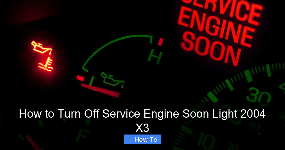 How to Turn Off Service Engine Soon Light 2004 X3