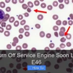 How to Turn Off Service Engine Soon Light Bmw E46