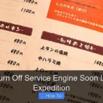 How to Turn Off Service Engine Soon Light Ford Expedition