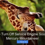 How to Turn Off Service Engine Soon Light Mercury Mountaineer