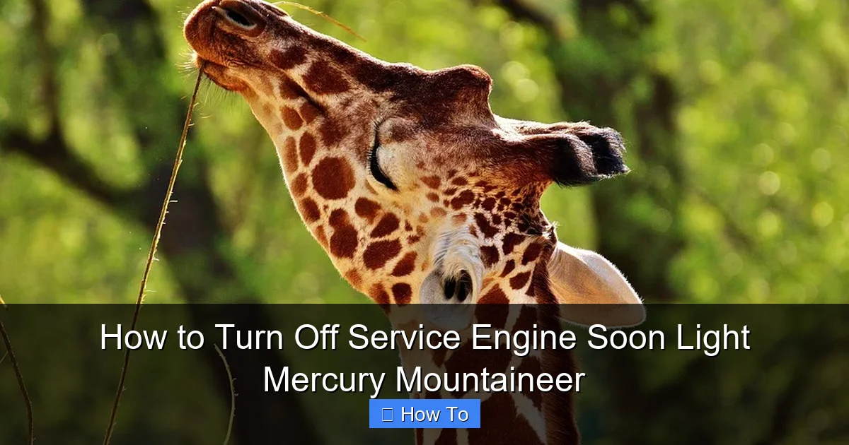 How to Turn Off Service Engine Soon Light Mercury Mountaineer