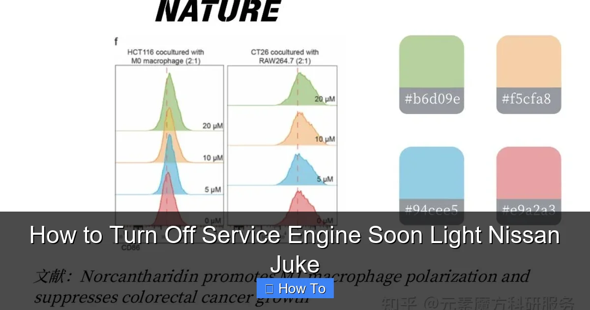How to Turn Off Service Engine Soon Light Nissan Juke