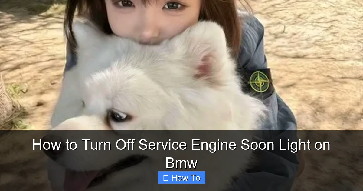 How to Turn Off Service Engine Soon Light on Bmw