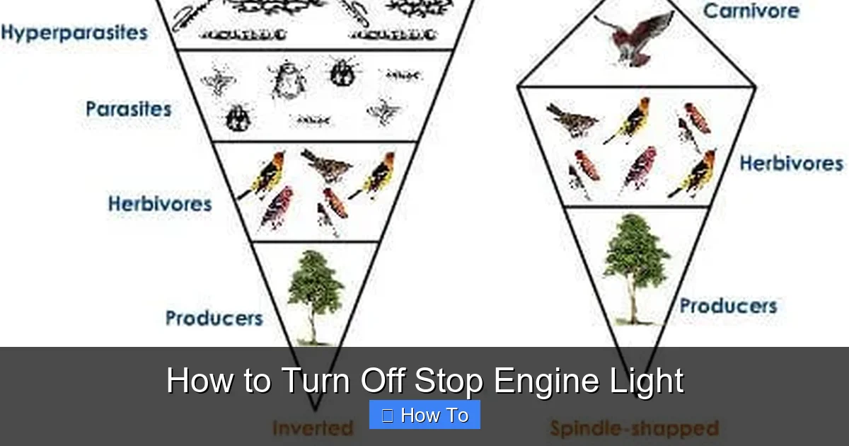 How to Turn Off Stop Engine Light
