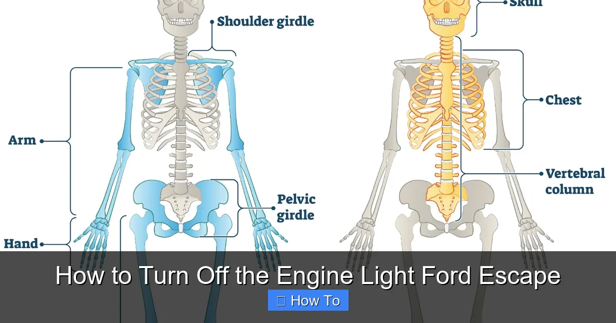 How to Turn Off the Engine Light Ford Escape
