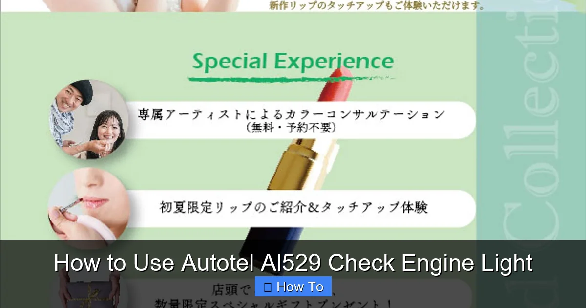 How to Use Autotel Al529 Check Engine Light