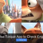 How to Use Torque App to Check Engine Light