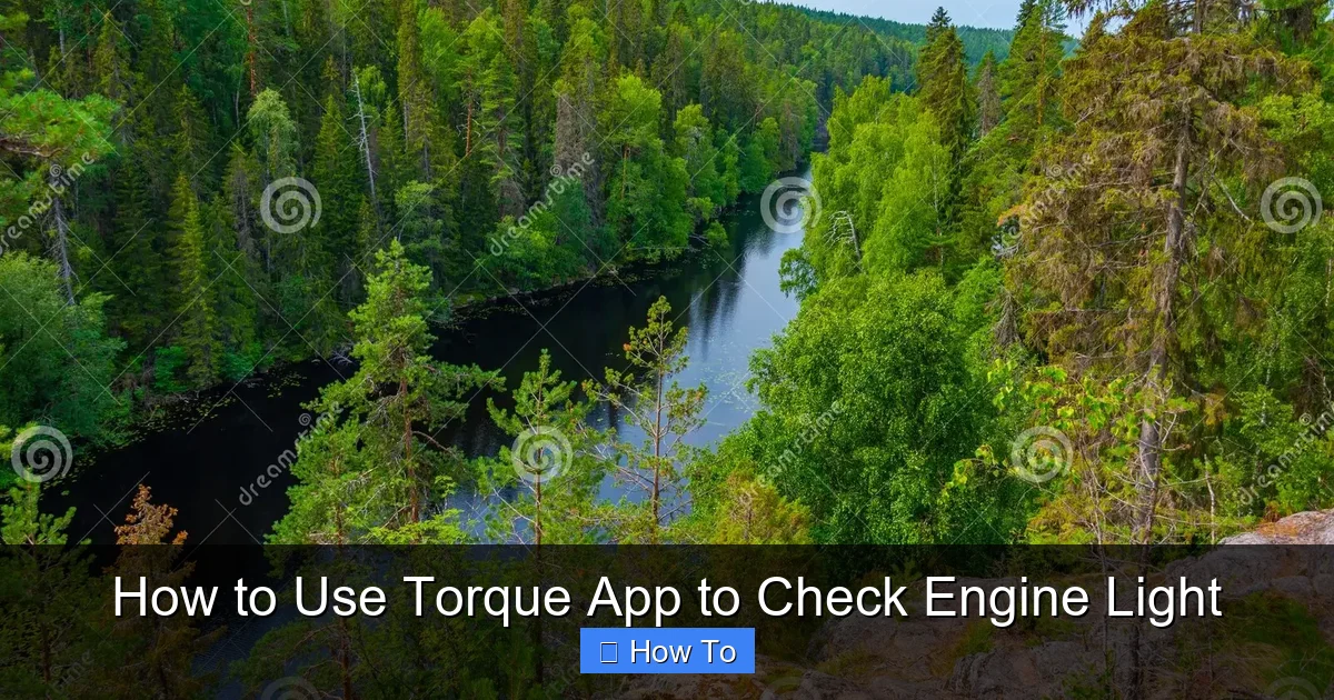 How to Use Torque App to Check Engine Light