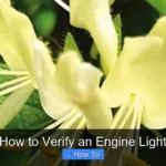 How to Verify an Engine Light