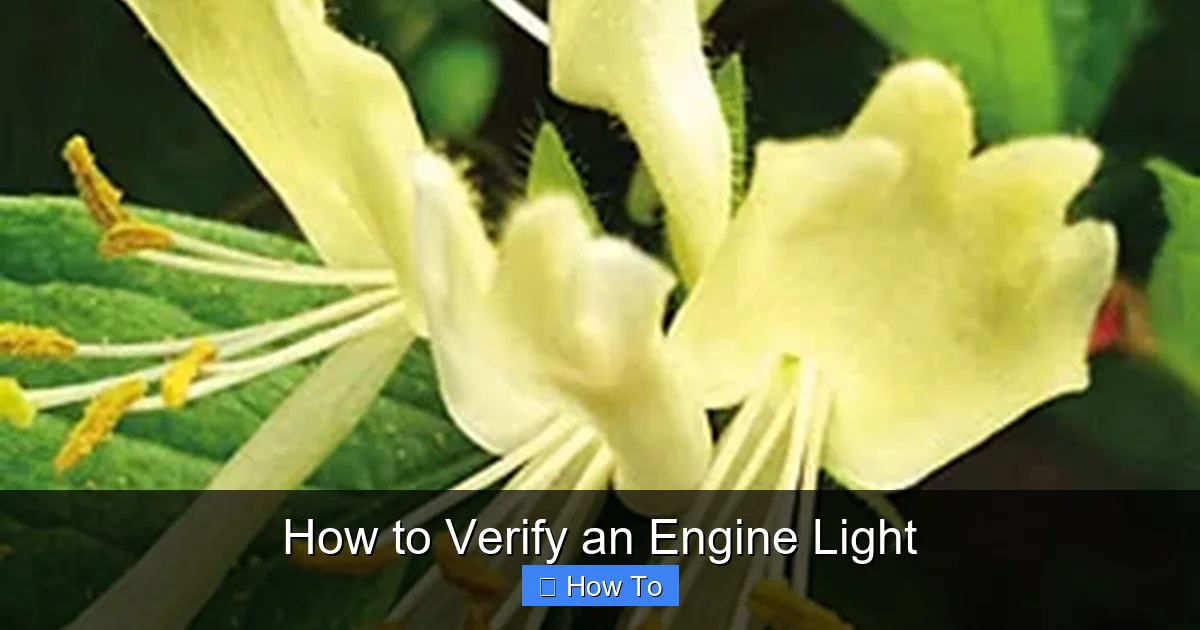 How to Verify an Engine Light