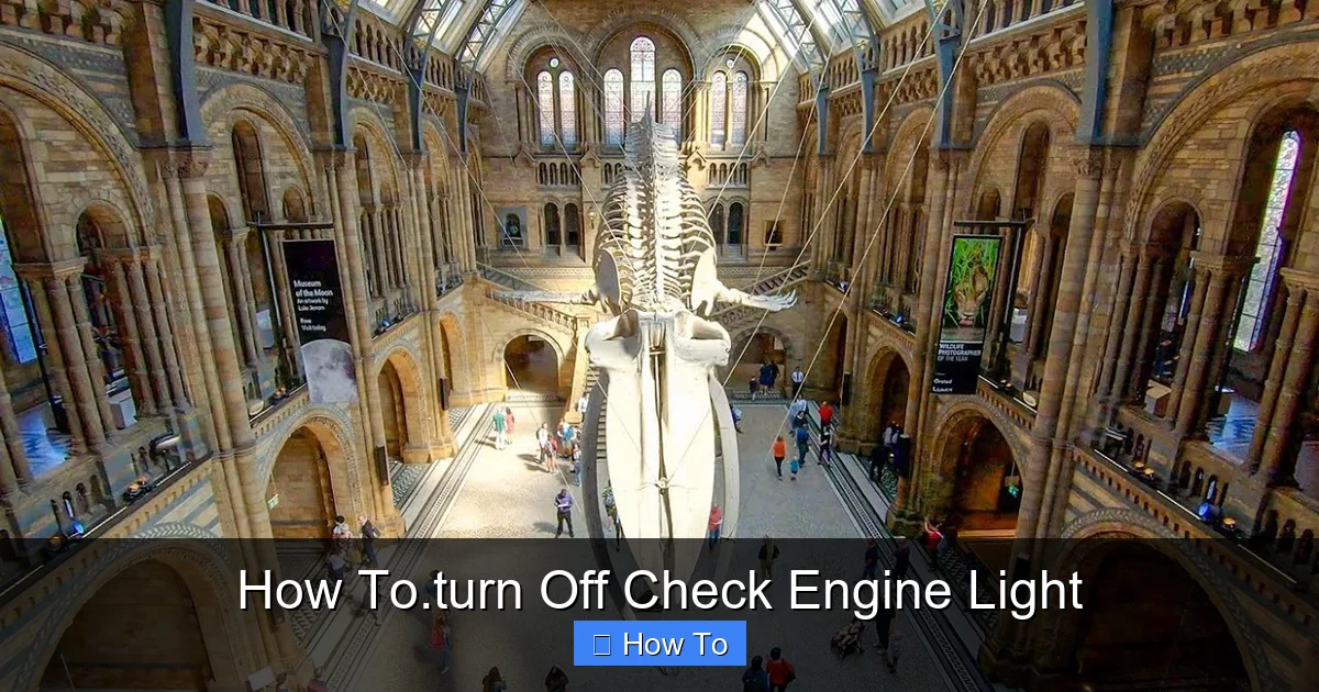 How To.turn Off Check Engine Light