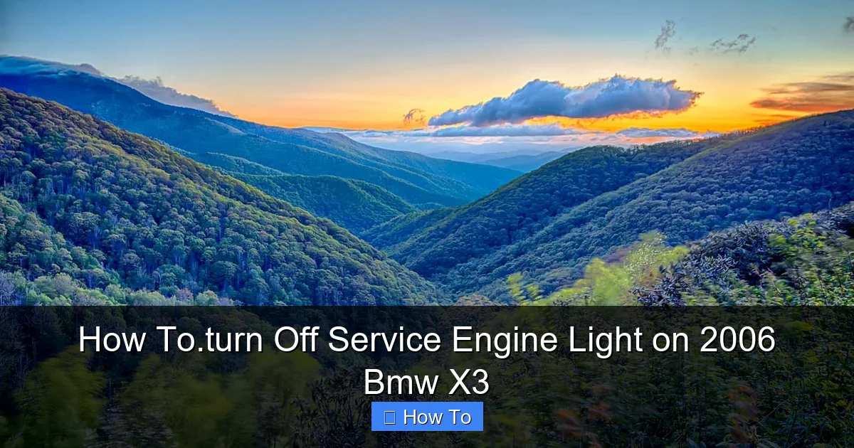 How To.turn Off Service Engine Light on 2006 Bmw X3