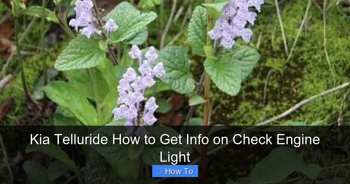 Kia Telluride How to Get Info on Check Engine Light