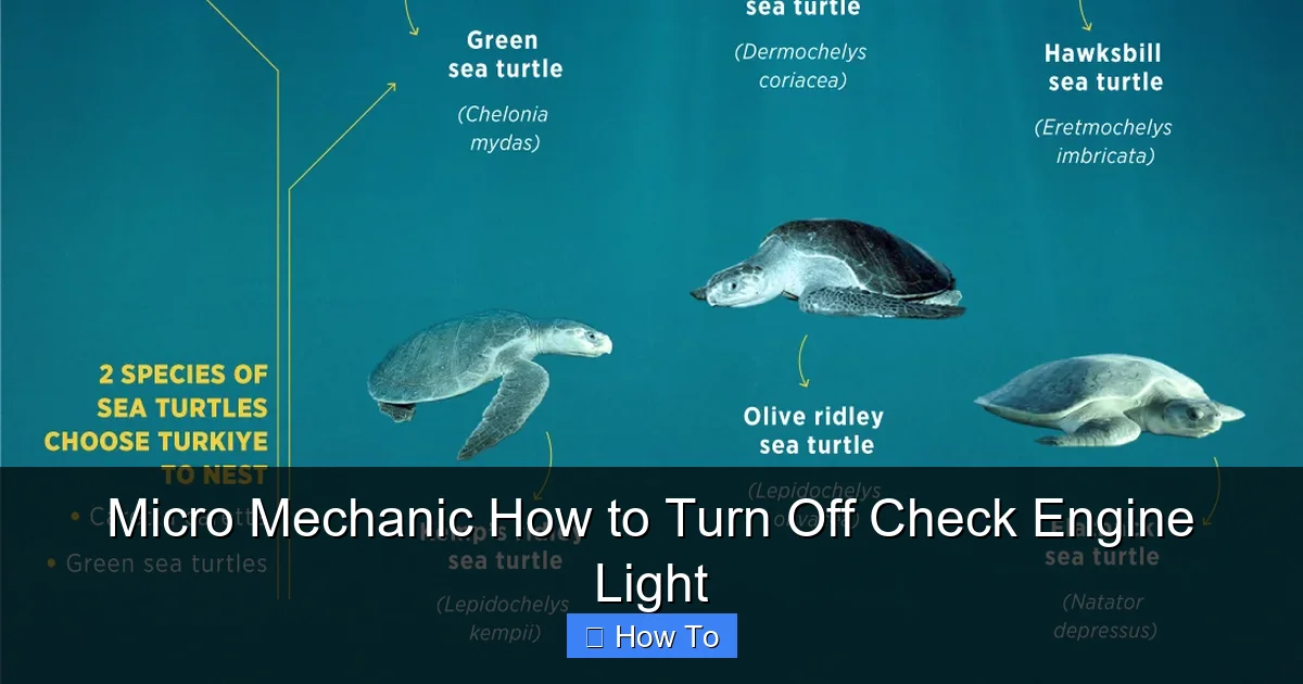 Micro Mechanic How to Turn Off Check Engine Light