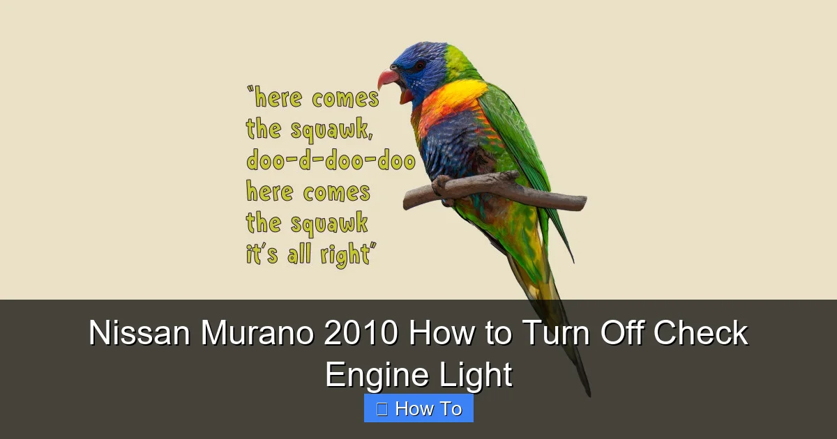 Nissan Murano 2010 How to Turn Off Check Engine Light
