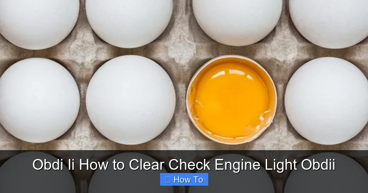 Obdi Ii How to Clear Check Engine Light Obdii
