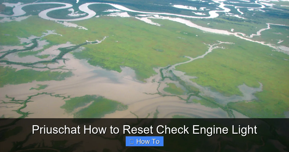 Priuschat How to Reset Check Engine Light