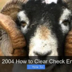 Ram 1500 2004 How to Clear Check Engine Light